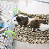16 x 12 Inches Bird Seagrass Mat, Natural Seagrass Woven Net, Bird Hammock Mat with Hooks, Bird Cage Accessories, Climbing Rope Ladder Chew Toys for Cockatiel Hamster Guinea Pig Rats Hamster Parakeet
