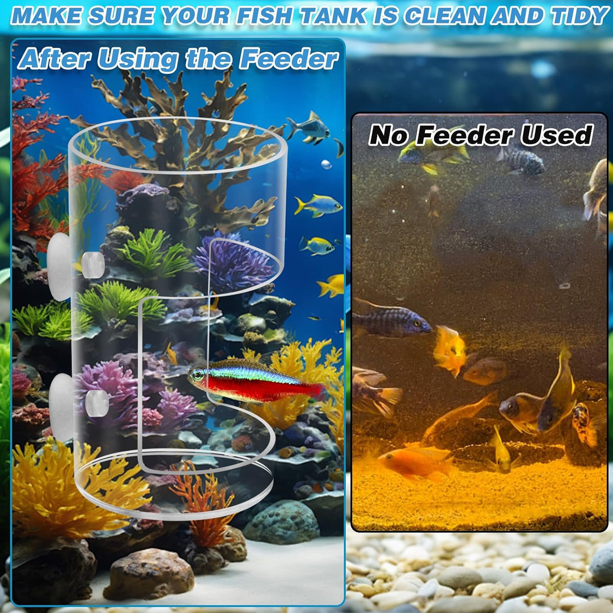 2Pcs Aquarium Fish Feeder Feeding Tray with Suction Cup - 2Pcs - image 4