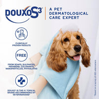 Douxo S3 PYO Chlorhexidine Shampoo & Mousse for Dogs – Essentials for Dogs - image 4