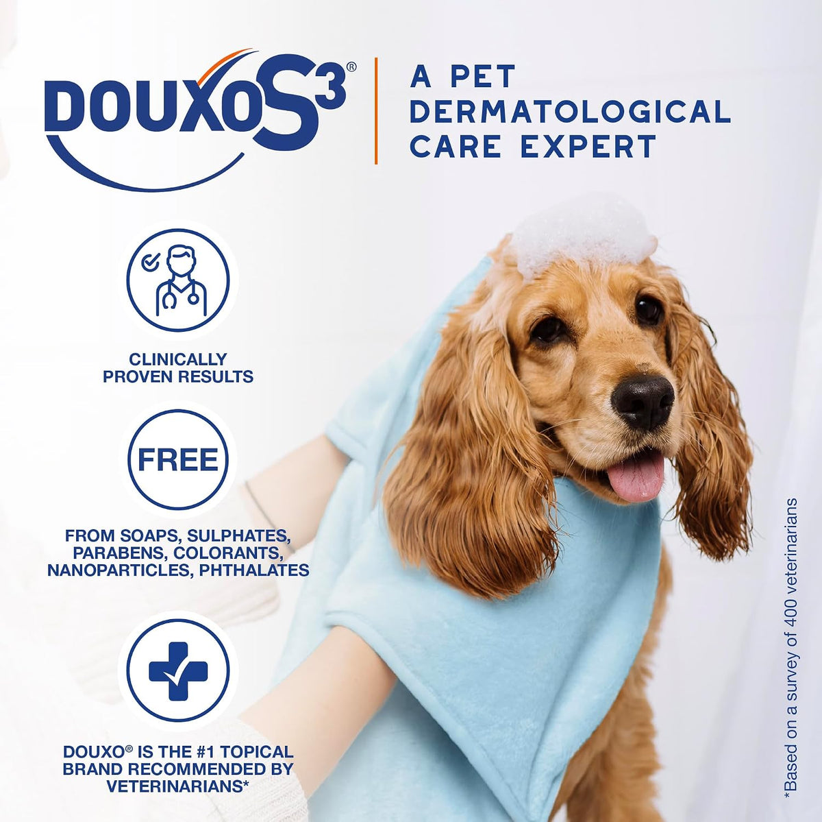 Douxo S3 PYO Chlorhexidine Shampoo & Mousse for Dogs – Essentials for Dogs - image 4