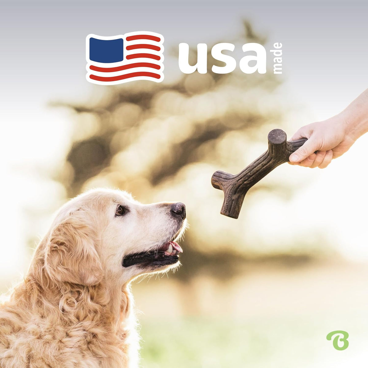 Benebone Fishbone Durable Dog Chew Toy for Aggressive Chewers - REAL Maplewood / Stick / Small - image 4