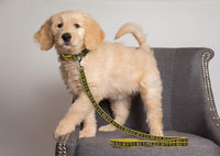 NCAA PET String, Dog String - Small / Michigan Wolverines - image 3