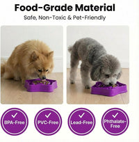 Pet Slow Feeder Bowl for Small Dogs - Purple - image 4