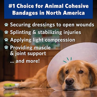 PetFlex Pet Pack – Flexible Self-Adhering Elastic Bandage for Wound Care – First Aid Wrap for Small Animals Like Dogs, Cats, and Other Pets - 2 inch, 6 Rolls