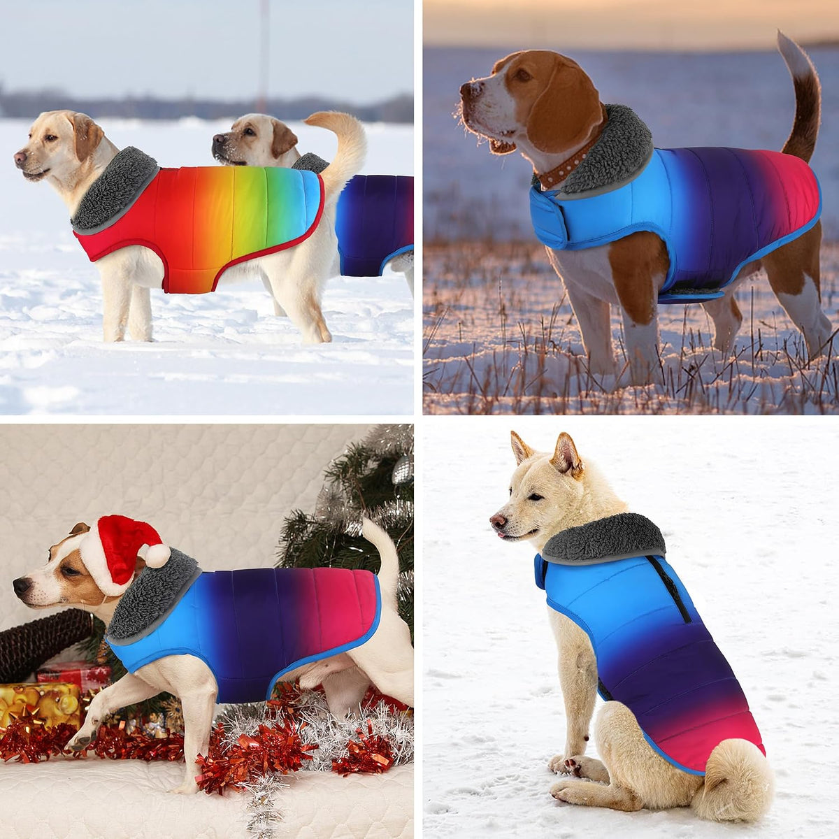 Waterproof Dog Winter Coat - Gradient Blue / 2XL(Chest Girth:27.6-34.7") - image 3