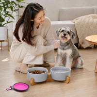 Ceramic Cat Dog Bowl Set with Stand - Grey / 400ML*2 - image 2