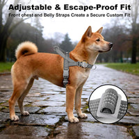 No Pull Dog Harness with Handle - Grey / XS - image 2