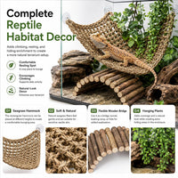 HERCOCCI Bearded Dragon Tank Accessories - Large - image 3