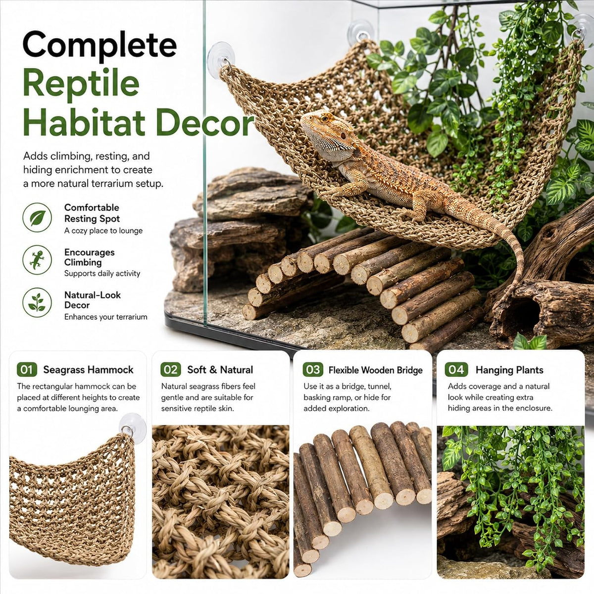 HERCOCCI Bearded Dragon Tank Accessories - Large - image 3