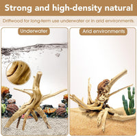 Natural Aquarium Driftwood for Fish Tank Reptile Terrariums Decor – Essentials for Fish - Spiderwood 4 to 8 Inch (Pack of 8) - image 3