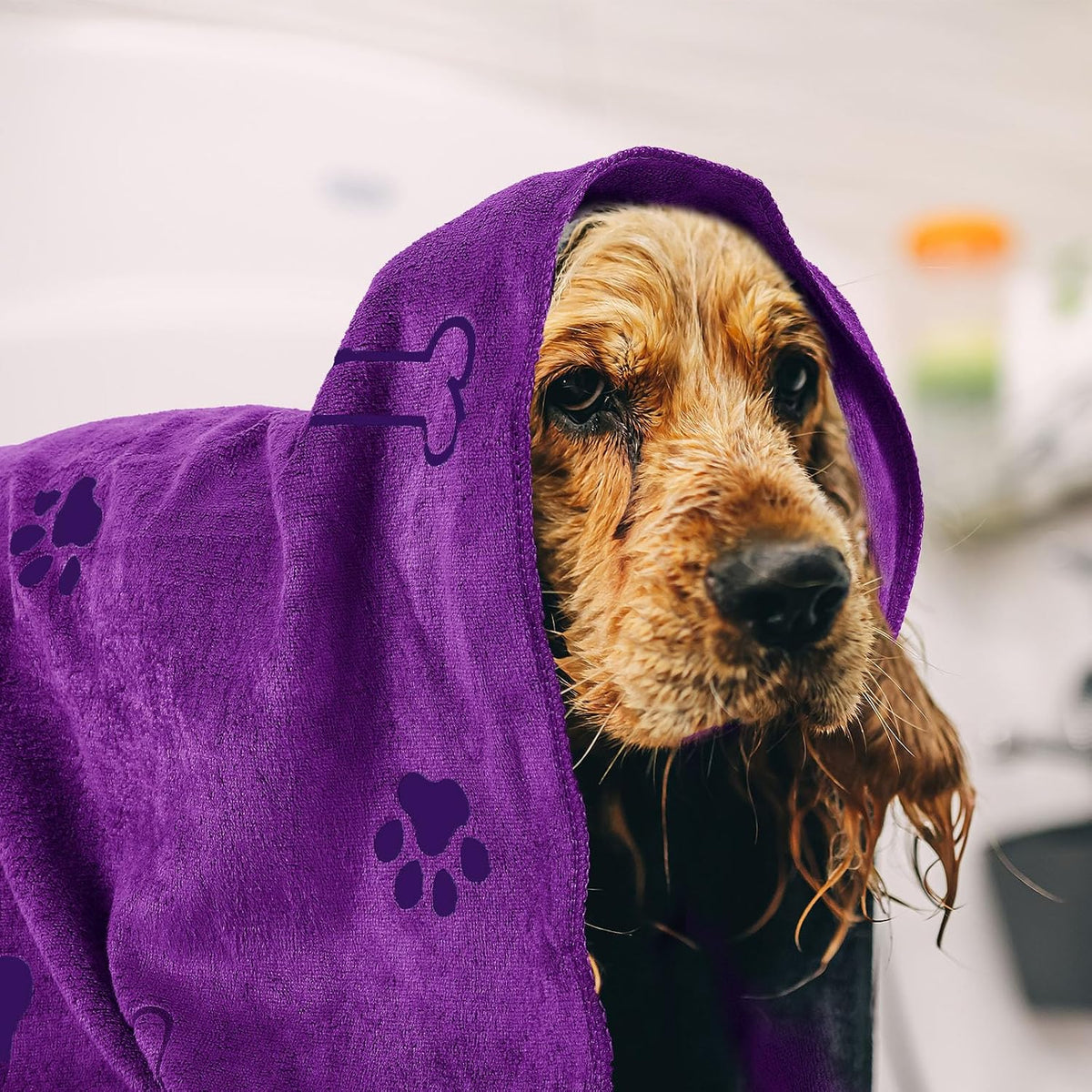 Chumia 4 Pcs Dog Towels for Drying Dog Puppy Bulk Microfiber - 24 x 40 Inch / Dark Purple,purple,pink,yellow - image 2