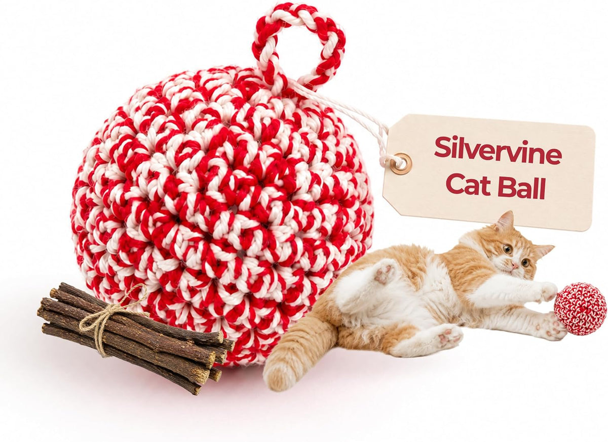 JAYU PET Red Cat Ball, 2.7 inch – Essentials for Cats - W/O Bell / 2.7inch