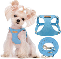 Puppytie Small Dog Harness and Leash Set, Pink, S – Essentials for Dogs - Ocean Blue / XXS(2.2-6lb）