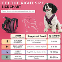 Gooby Comfort X Head-in Dog Harness, Choke-Free - X-Large Chest (20.5-28") / Purple - image 4