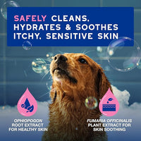 DOUXO® Skin & Coat SPA - Ultra-Safe Dog Shampoo for Itchy Skin, 16 fl oz, Skin-Friendly Formula Cleans and Soothes, Leaves The Coat Soft and Radiant