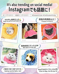 Elizabethan Collar (美/首巻/黄/L)