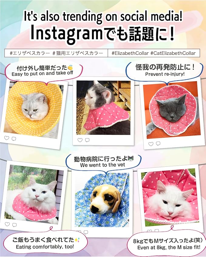 Elizabethan Collar (美/首巻/黄/L)
