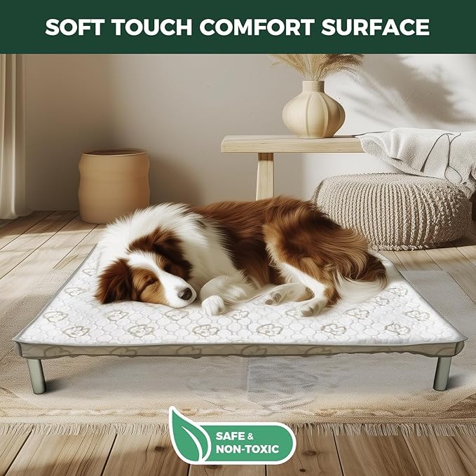FXW TitanNest Chew-Proof Elevated Dog Bed, Raised Cot for Indoor/Outdoor/Camping Use, Durable & Washable Padded Pet Bed with Exclusive Reuseable Cover for Toy Dogs, 24.0" L x 20.0" W x 4.1" H, Gray