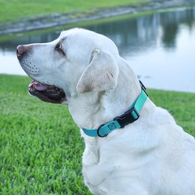 Dogline Biothane Waterproof Dog Collar with Quick Release Buckle Strong Coated Nylon Webbing with Odor- Proof for Easy Care Easy to Clean Fits Small Medium Large Dogs, Cyan Blue 3/4" W 12-19" L
