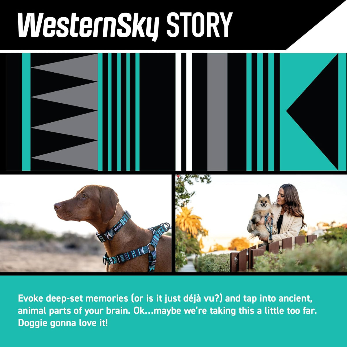Wolfgang Heavy Duty Martingale Dog Collar with Quick Release Nylon - WesternSky Print / Large (1 Inch x 18-22 Inch) - image 2