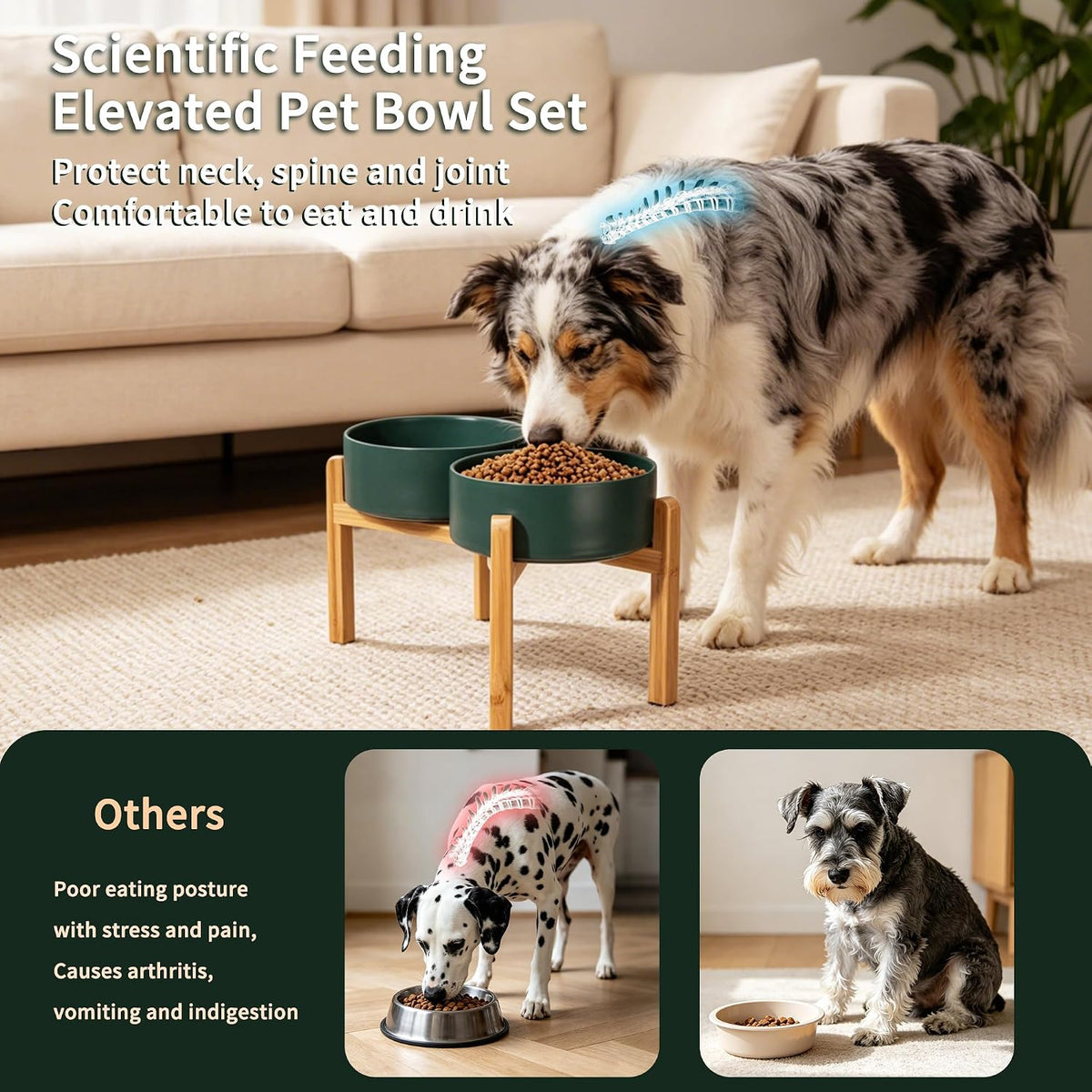Elevated Ceramic Dog Bowl - Green / Large - image 4
