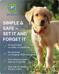 Natural Flea & Tick Repellent Collar Tag for Dogs & Cats – BioPower Pet Shield – Safe for Pets When Used as Directed – Lasts 1 Full Year - Small Tag (<10 Lbs) - 3 Pack