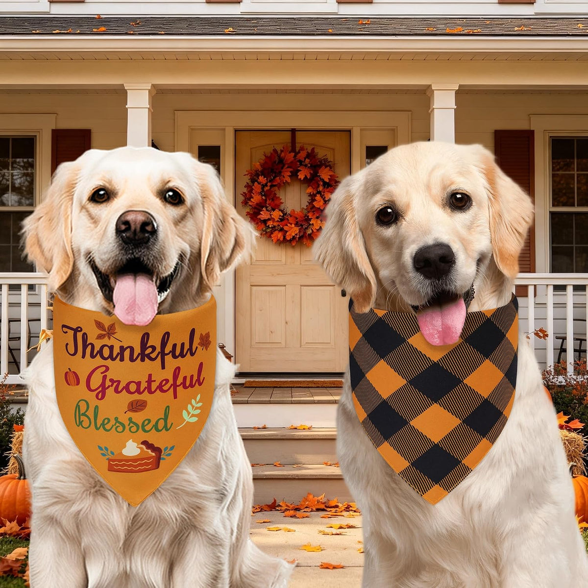 Fall Dog Bandanas Large 3PCS - 26-O G Wr / Small - image 2