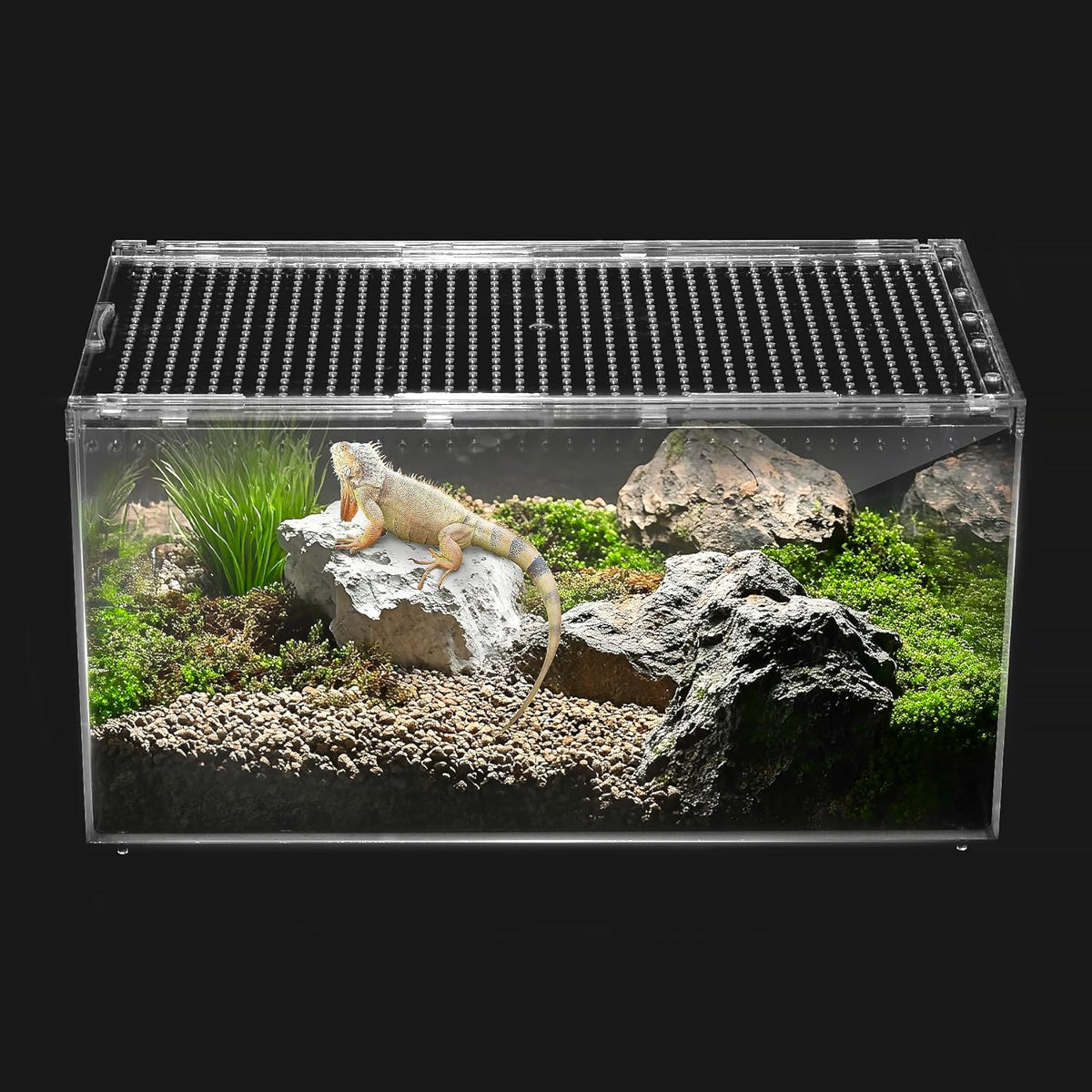 Reptile PC Tank,Escape Proof Magnetic Lid Tarantula Enclosure Large – Essentials for Reptiles And Amphibians - Slide Lid Tank / XL(15.74x9.84x7.8 IN)