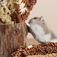 Natural Ear of Grain Flower&Herb Bedding Mate Habitat Decor - Grain - image 4