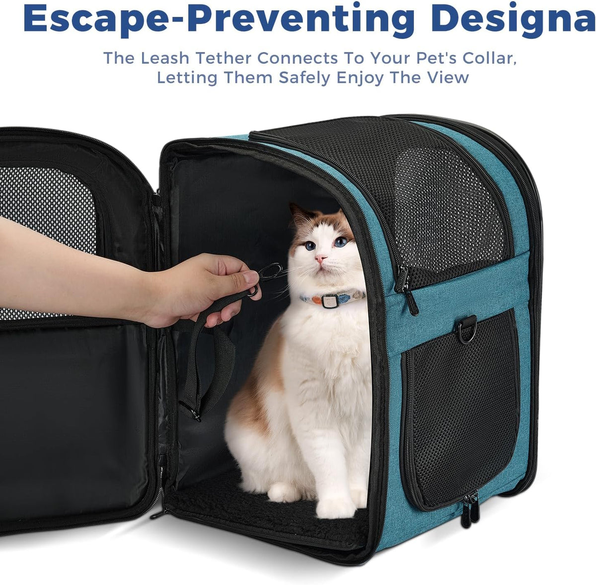Apollo Walker Cat Backpack Carrier, Support Frame - Teal / Medium-Standard - image 3