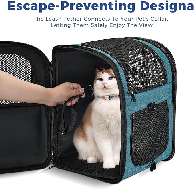 Apollo Walker Dog & Cat Carrier Backpack for 4-15lb Pets - Ventilated Safe Design with Padded Back Support, Breathable Mesh Pet Backpack for Hiking, Travel, Outdoor (Teal)