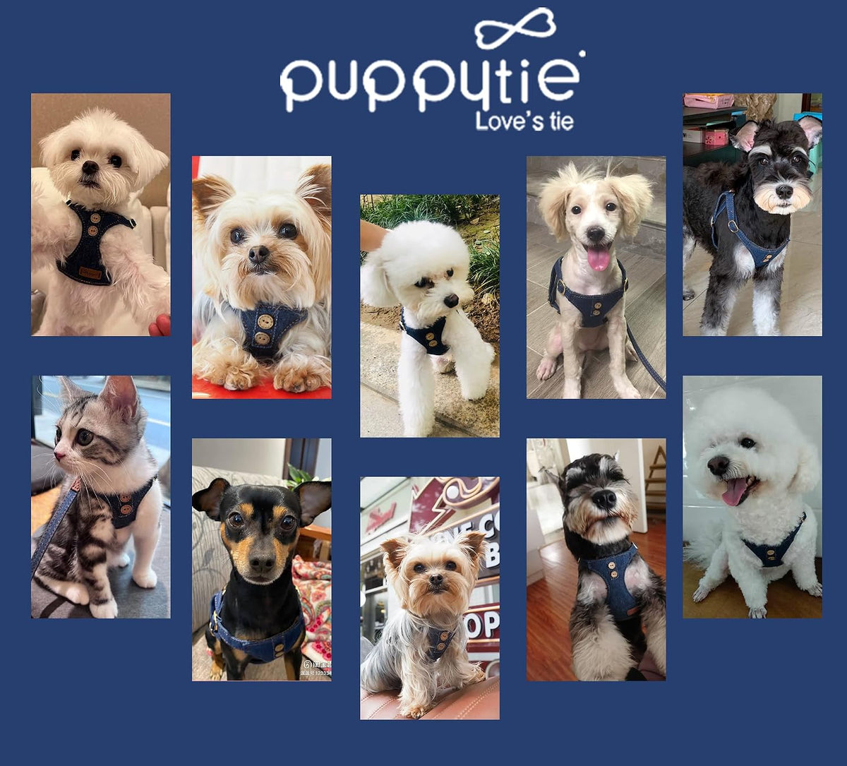 Puppytie XS Dog Harness and Leash Set, Denim Brown, XS – Essentials for Dogs - Button-Denim Blue / XXS(2.2-6lb) - image 2