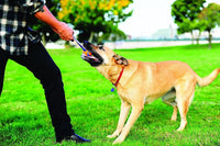 Chuckit! Ultra Tug Dog Toy - Large / Ultra Tug - image 2