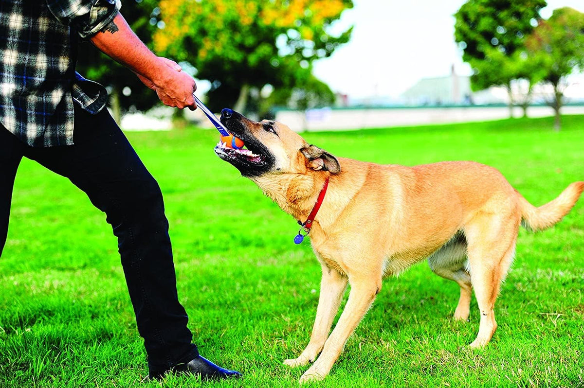 Chuckit! Ultra Tug Dog Toy - Large / Ultra Tug - image 2