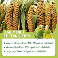 2LB Spray Millet Bird Treat for Parakeets, Natural Sun-Dried Birds Millet Spray for Parrots, Finches, Cockatiel, Budgie & Hamster, Bird Food Bulk