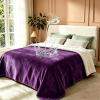 Waterproof Blanket for Bed Couch, Sherpa Fleece Throw, 50x60 – Essentials for Dogs - 50x60 inches / Dark Purple