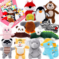No Stuffing Dog Toys Crinkle Squeaky - Assorted 12 Pack / Small