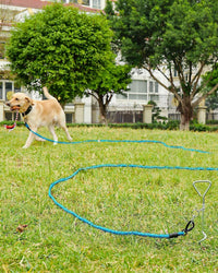 Joytale Long Dog Leash for Yard Tie Out & Recall Training - Blue / 15FT - image 2