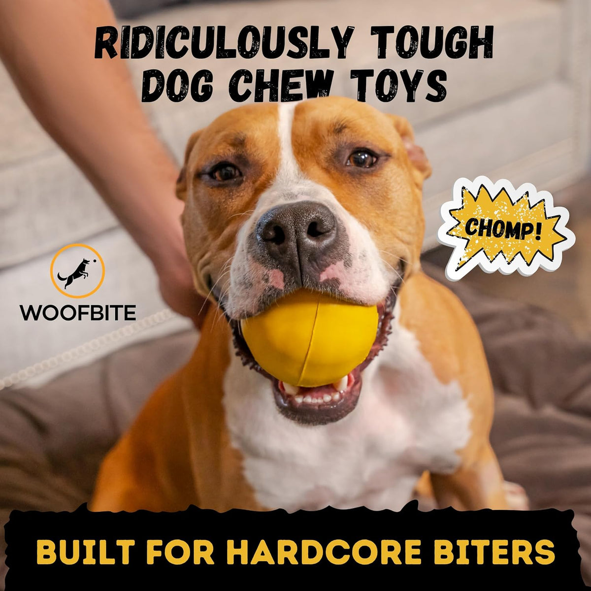 Super Durable Dog Ball, Tough, Strong Chew & Fetch Toy for Power - image 2