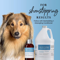 iGroom Deshedding & Detangling Dog Shampoo - 1 GAL (Pack of 2) - image 3