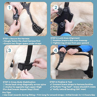 Dog Knee Brace with Adjustable Support – ACL & CCL Tear Recovery, Post-Surgery Stabilization, Mobility Aid for Rear Legs – Includes Secure Chest Harness for Dogs(Right,L)
