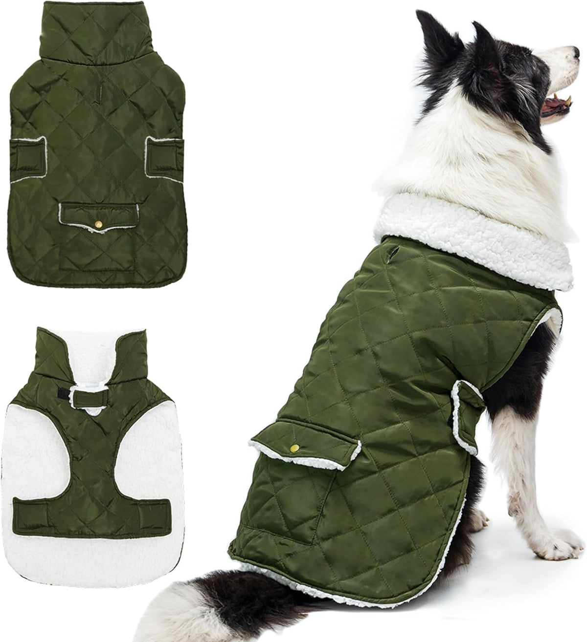 Dog Winter Coat for Cold Weather - Green / X-Large