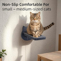 ESPETS Black Painted Solid Wood Cat Wall Climbing Steps Set of 3 - Wall Mounted Cat Floating Furniture Shelves and Perches, Sturdy Climber Stairs Ladders - Holds up 30lbs