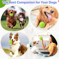 DISSKNIC Indestructible Squeaky Dog Ball, Relieves Anxiety - Small / Green - image 4