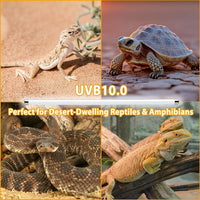 8W T5 10.0 UVB Reptile Light Fixture 12" - Bulb White / 39W 34 Inch - image 2