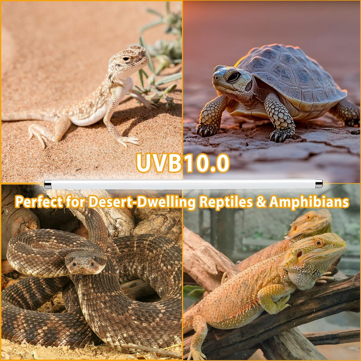 8W T5 10.0 UVB Reptile Light Fixture 12" - Bulb White / 39W 34 Inch - image 2