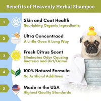 Wholistic Pet Organics Pet Shampoo Concentrate: Heavenly Herbal Organic Dog Shampoo and Conditioner - All Natural Puppy and Cat Shampoo for Dry, Itchy Skin, Allergies, Dandruff