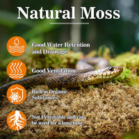 Sukh Sphagnum Moss for Reptiles, Green Terrarium Moss Substrate - 3.5 Ounces / Yellow Green - image 2