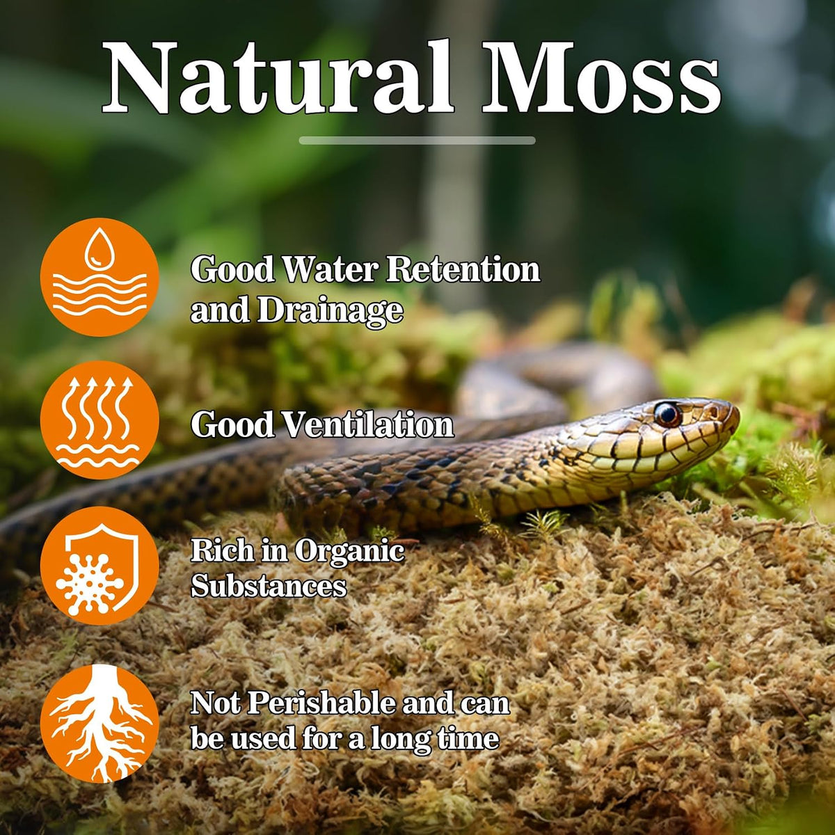 Sukh Sphagnum Moss for Reptiles, Green Terrarium Moss Substrate - 3.5 Ounces / Yellow Green - image 2