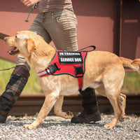 Service Dog Vest Harness and Leash Set+10 Patches - Extra-large / Red - image 2